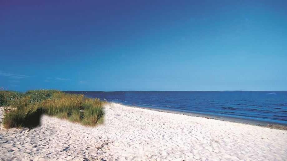 Apartmán Witte Huus 75M_ Und 51M_ Ferienwoh Hooksiel Exteriér fotografie